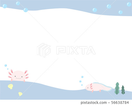 Wooloper背景框架 Wooloper背景框架 56638784