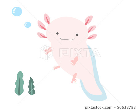 Puka Puka Woo Pearl Cooper Puka Puka Woo Pearl Cooper 56638788