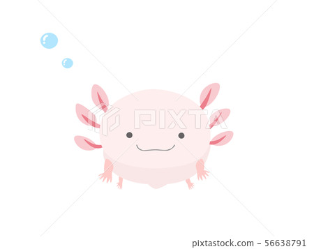 Wooparupa要看 56638791