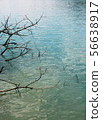 湖水 56638917