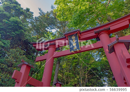 新潟彌彥神社 新潟彌彥神社 56639995