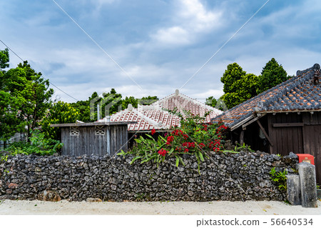 Okinawa Taketomi-machimachinami red tile roof Okinawa Taketomi-machimachinami red tile roof 56640534