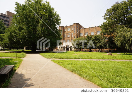 東京大學工學部和廣場 56640891