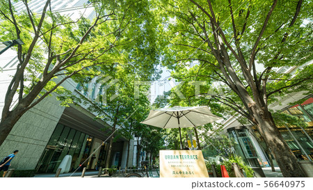 假日丸之內Nakadori 56640975