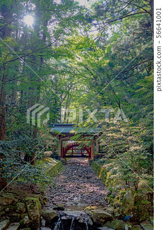 Niigata Yahiko Shrine Tamanobashi 56641001
