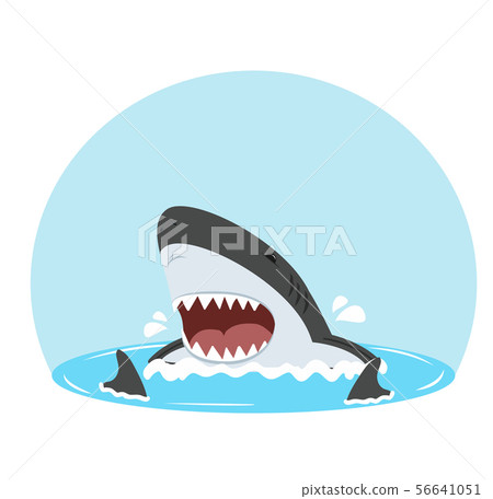 White shark with open mouth fin sharks White shark with open mouth fin sharks 56641051