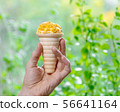 Ice Cream Cone 56641164