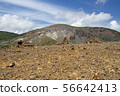Agatsuma Fuji 56642413
