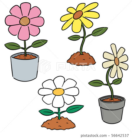 vector set of flower vector set of flower 56642537