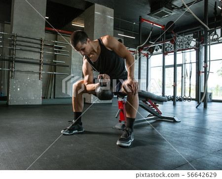 A muscular male athlete doing workout at the gym A muscular male athlete doing workout at the gym 56642629
