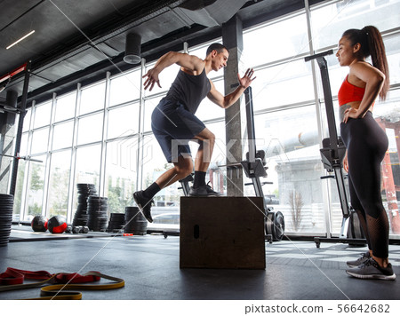 A muscular athletes doing workout at the gym A muscular athletes doing workout at the gym 56642682