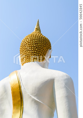 Buddha statue in thai temple Buddha statue in thai temple 56642845