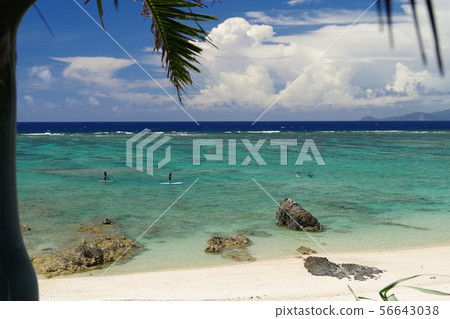 An An coast Amami Oshima An An coast Amami Oshima 56643038