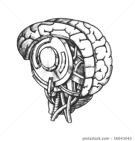 High Technology Robotic Brain Monochrome Vector High Technology Robotic Brain Monochrome Vector 56643042