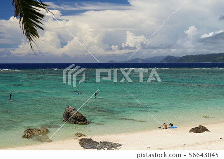安安海岸奄美大島 安安海岸奄美大島 56643045