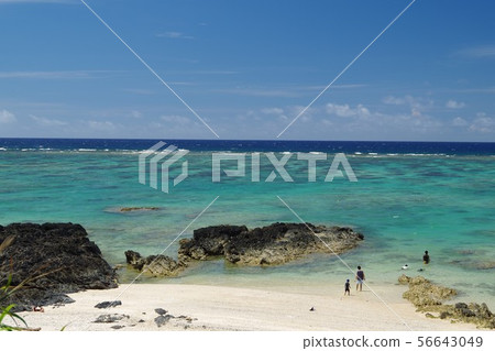 安安海岸奄美大島 安安海岸奄美大島 56643049