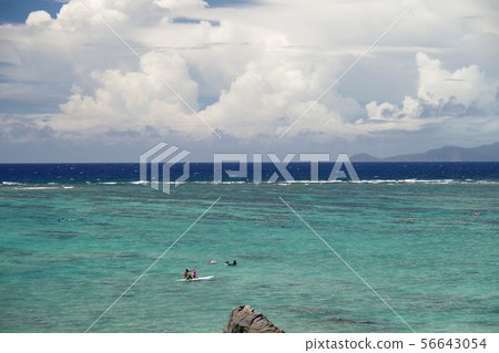 安安海岸奄美大島 安安海岸奄美大島 56643054