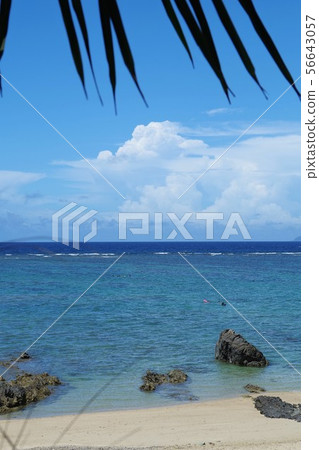 An An coast Amami Oshima An An coast Amami Oshima 56643057