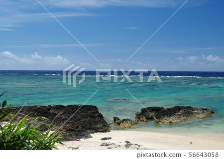 An An coast Amami Oshima An An coast Amami Oshima 56643058