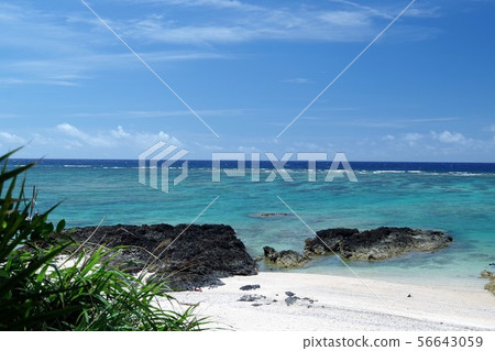 An An coast Amami Oshima An An coast Amami Oshima 56643059