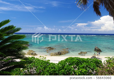 An An coast Amami Oshima An An coast Amami Oshima 56643060