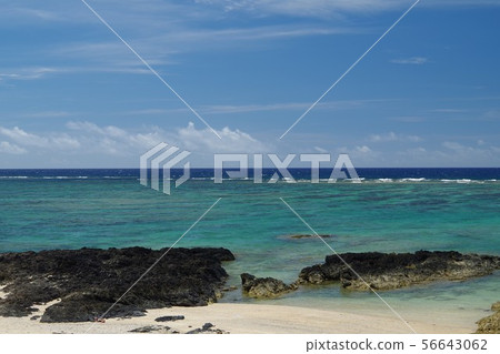 安安海岸奄美大島 安安海岸奄美大島 56643062