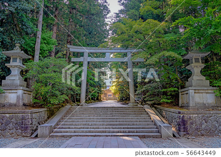 Niigata Yahiko Shrine 56643449