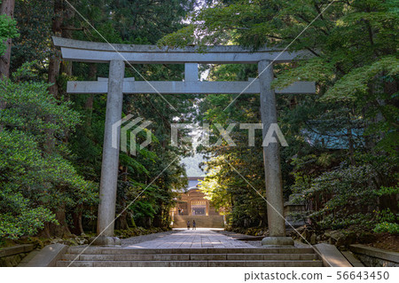 Niigata Yahiko Shrine 56643450