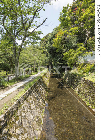 Kyoto Philosophy Road, Kyoto's popular spot, Kyoto Higashiyama promenade 56643471