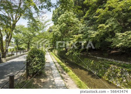 京都哲學路，京都的熱門景點，京都東山長廊 56643474