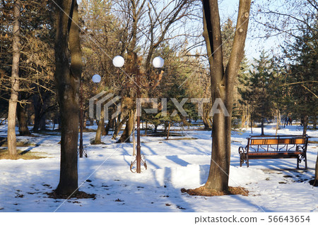 General view of trees, a lantern and a bench General view of trees, a lantern and a bench 56643654