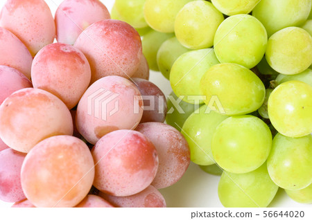 Red grapes white grapes Red grapes white grapes 56644020