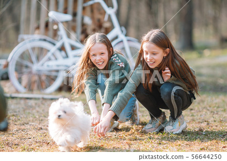 Little girls with a white puppy. A puppy in the hands of a girls 56644250