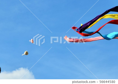 慶典建築神道儀式行為傳統事件材料背景日本和泉市鹿兒島縣的原始風景 56644580