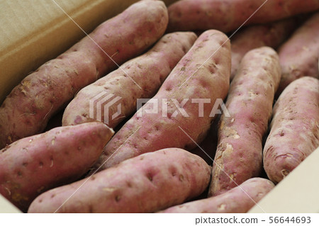 Sweet potato Sweet potato 56644693
