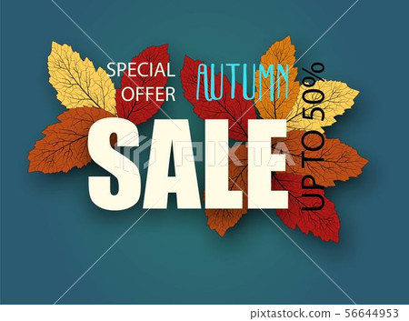 Discount, sale, season sales. Shopping, offer Discount, sale, season sales. Shopping, offer 56644953