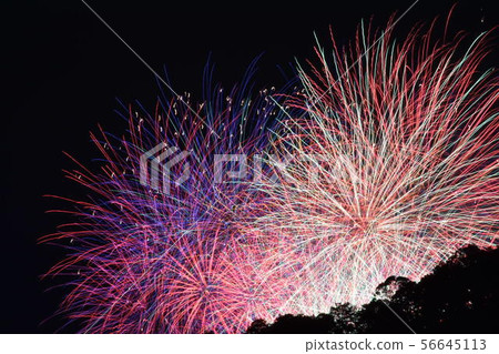Fireworks Fireworks 56645113