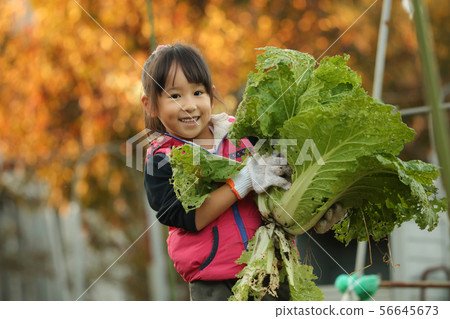 Girl taking vegetables Girl taking vegetables 56645673