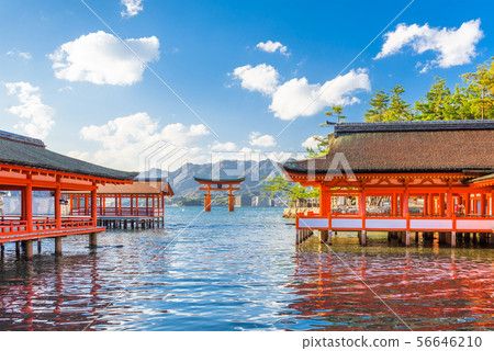 Miyajima, Hiroshima, Japan 56646210