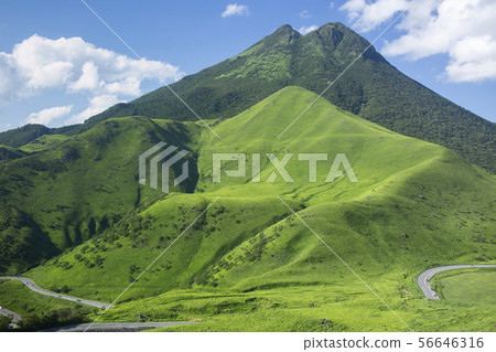 Yufu-dake and cloud of fresh green 56646316