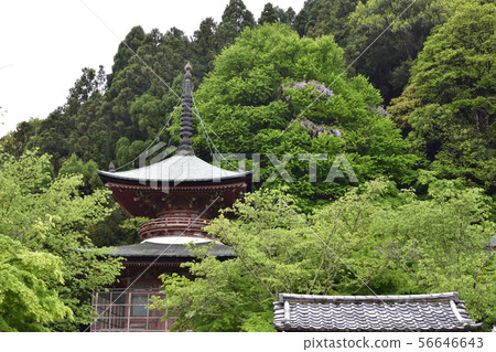 Horinji Temple Horinji Temple 56646643
