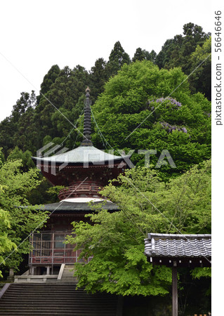 Horinji寺 56646646