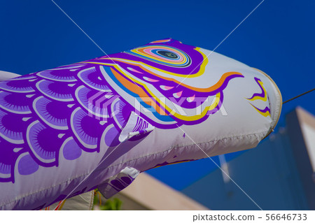 Konobori May Children's Day Festival Spring Blue Sky Higashi Hakuho Park Sumida Konobori Fair Konobori May Children's Day Festival Spring Blue Sky Higashi Hakuho Park Sumida Konobori Fair 56646733