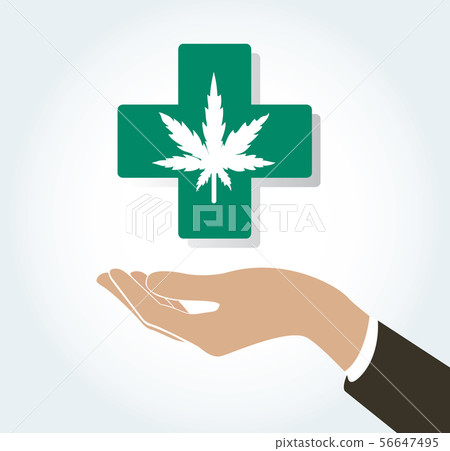 hand holding cannabis therapy medical 56647495