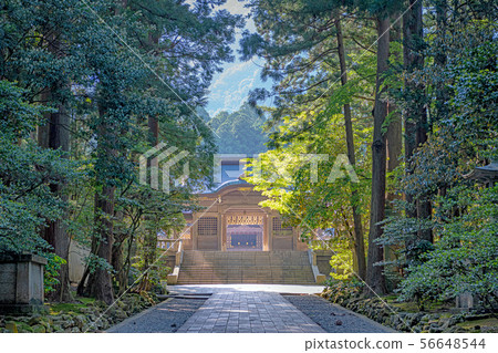 Niigata Yahiko Shrine Setsujinmon and beautiful approach 56648544