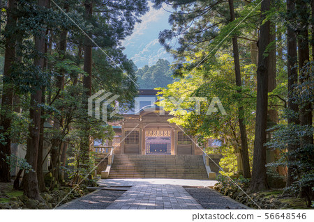 新潟彌彥神社Setsujinmon和美麗的方法 56648546