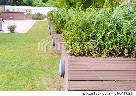 Rooftop garden, Rooftop of garden, Growing Rooftop garden, Rooftop of garden, Growing 56648621