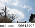 Deogyusan old tree and hut 56648907
