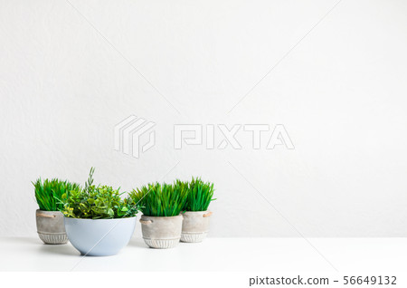 Collection of grassy artificial potted plants, copy space 56649132