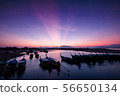 morning light over the bay 56650134